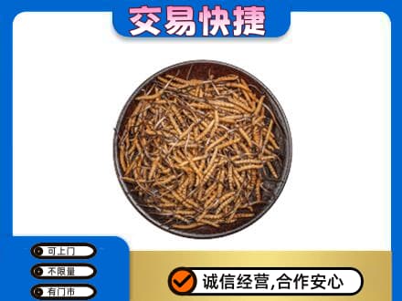 银川市高价回收散虫草